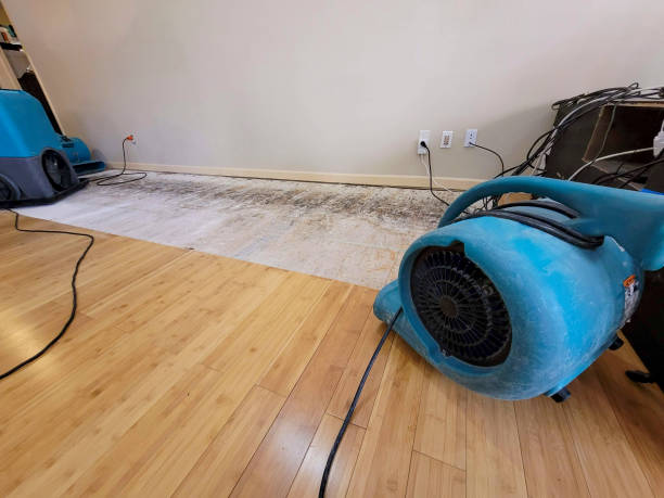 Professional Water Removal technician working in Carmel, IN